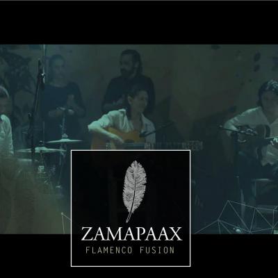 Zamapaax im Konzert