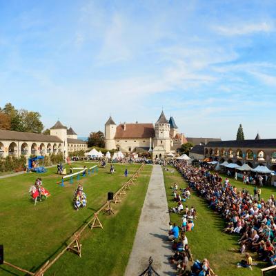 Bild 1 zu Ritterturnier auf der Rosenburg am 05. Oktober 2019 um 09:30 Uhr, Renaissanceschloss Rosenburg (Rosenburg)