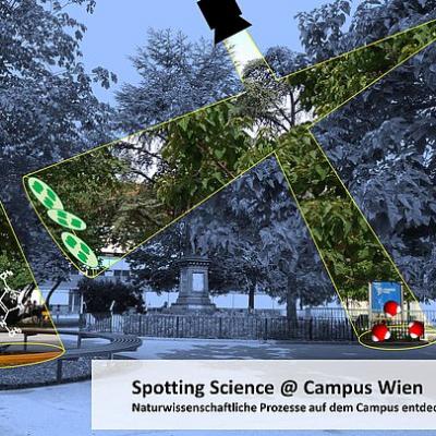 Bild 1 zu Spotting Science – Entdecke Naturwissenschaften! am 24. August 2020 um 00:00 Uhr, Online, Uni Wien Campus (Wien)