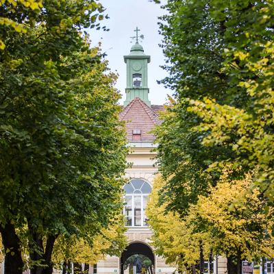 Bild 1 zu Öffentliche Campusführungen am 25. September 2021 um 13:00 Uhr, Karlik-Tor (Wien)