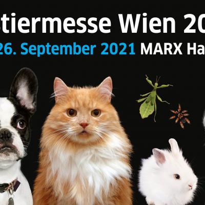 Bild 1 zu Haustiermesse Wien 2021 am 25. September 2021 um 10:00 Uhr, Marx Halle (Wien)