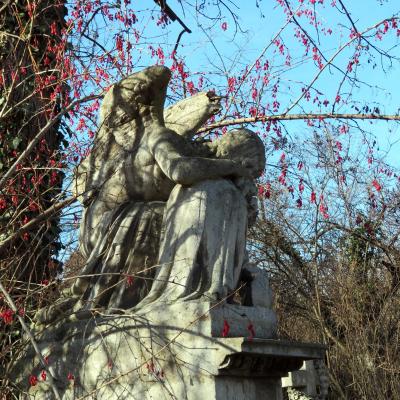Am St. Marxer Friedhof blüht der Flieder