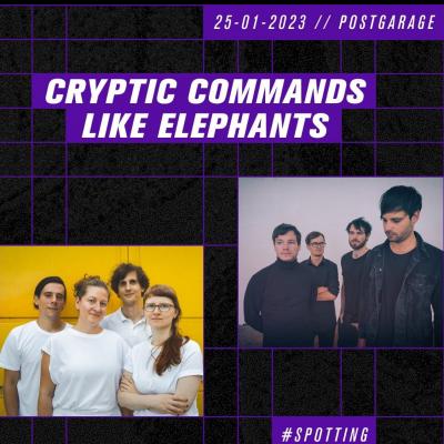 Bild 1 zu Like Elephants & Cryptic Commands am 25. Januar 2023 um 21:00 Uhr, Postgarage (Graz)