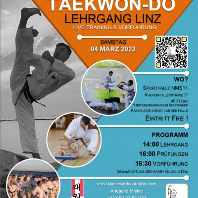 Traditionelles Taekwon-Do_Bild03
