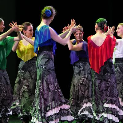 Bild 1 zu Flamencos On Tour  am 03. Februar 2024 um 19:30 Uhr, Theater Akzent (Wien)