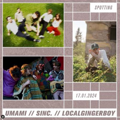 Umami // sinc. // localgingerboy