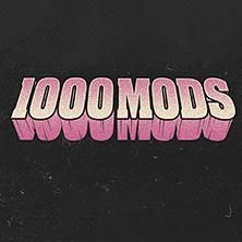 1000mods