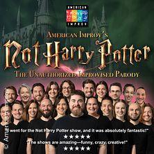American Improv's Not Harry Potter