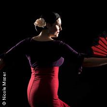 Amor X Flamenco Flamencoquartett “El Cuadro