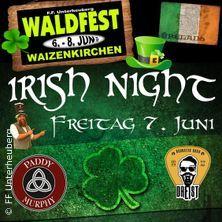 Irish Night @ Waldfest