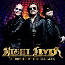 NIGHT FEVER - Tribute To Bee Gees - Hits der Bee Gees live erleben in Wels am 13. Juni 2026 um 19:30 Uhr