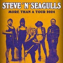 Steve'n'Seagulls
